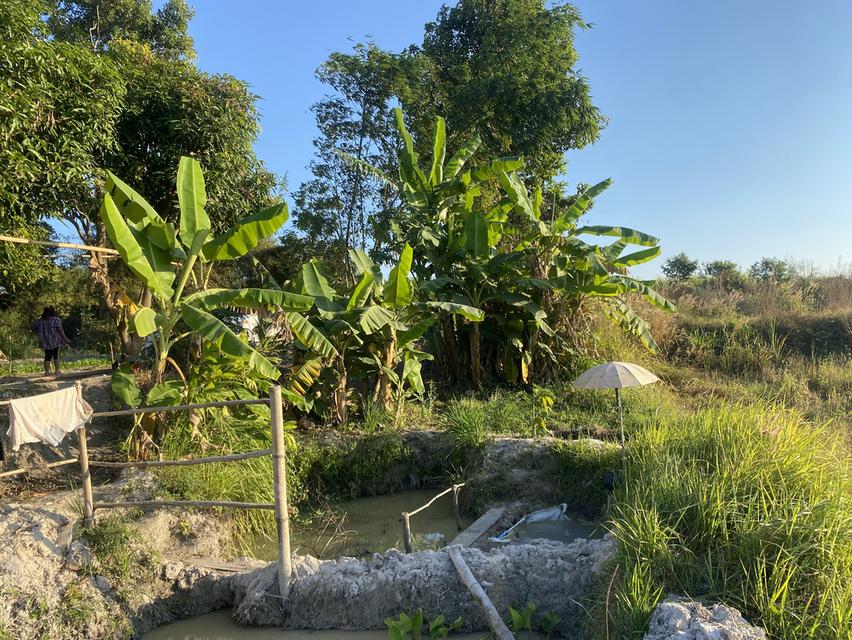 ที่ดิน11ไร่อยู่ถนน4เลนตัดใหม่กาฬสินธุ์-มุกดาหาร 6