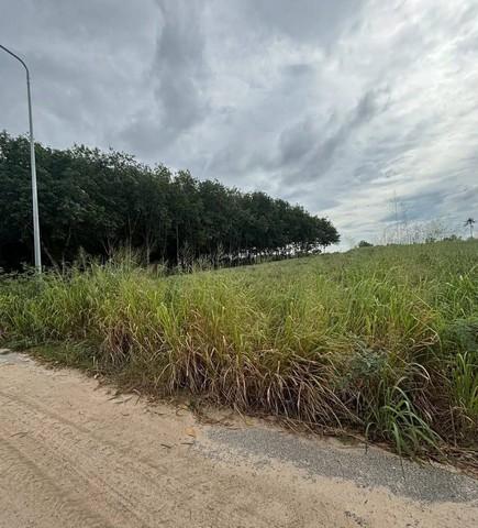 ขายที่ดินนิคมพัฒนาระยอง ขายที่ดินระยองทำเลดีเนื้อที่ 9 ไร่ พิกัด ซอย 13 สาย 7 อ.นิคมพัฒนา จ.ระยอง ผัง สีม่วงลาย 5