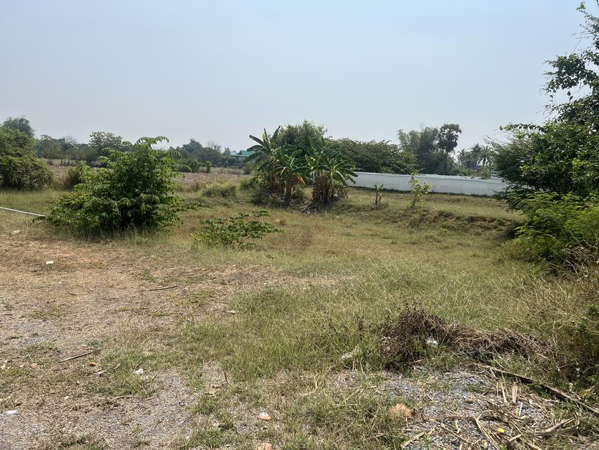 🌿✨ ขายที่ดินติดถนนใหญ่ 321 ใกล้คลอง ✨🌿 ทำเลดี อ.อู่ทอง จ.สุพรรณบุรี 7