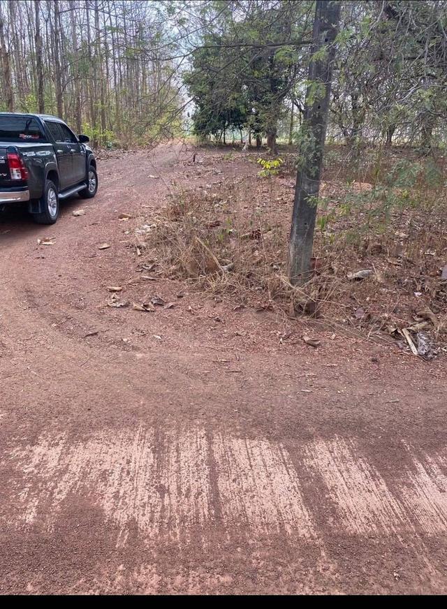 ที่ดิน 18 ไร่ ไร่ละ หนึ่งแสนบาทถ้วน มีต้นมะขามหวาน ประมาณ 400 ต้น เก็บผลผลิตได้ มกราคม 1