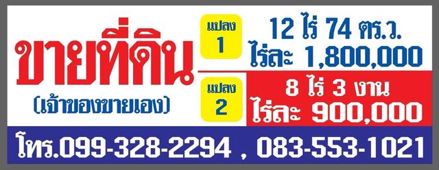 ที่ดินแถมต้นอินทผลัม ทางขึ้นภูทับเบิก 19
