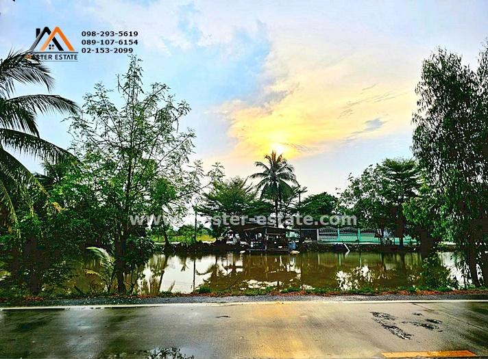 ที่ดินเปล่า คลอง 4 ฝั่งตะวันออก เลียบคลองระพีพัฒน์ 38-3-95.9 ไร่ ติดถนนสาธารณะ สวยมาก เหมาะทำโครงการจัดสรร | อาคารชุด ราคาสุดคุ้ม 2