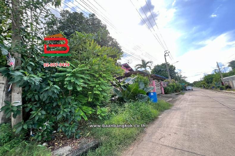 ที่ดินเปล่า ชัชฎาวิลล่า พุทธมณฑลสาย 3 (ซอย 1) เนื้อที่ 60 ตร.ว. (ใกล้มหาวิทยาลัยมหิดล) แขวงบางไผ่ เขตบางแค กรุงเทพมหานคร 9