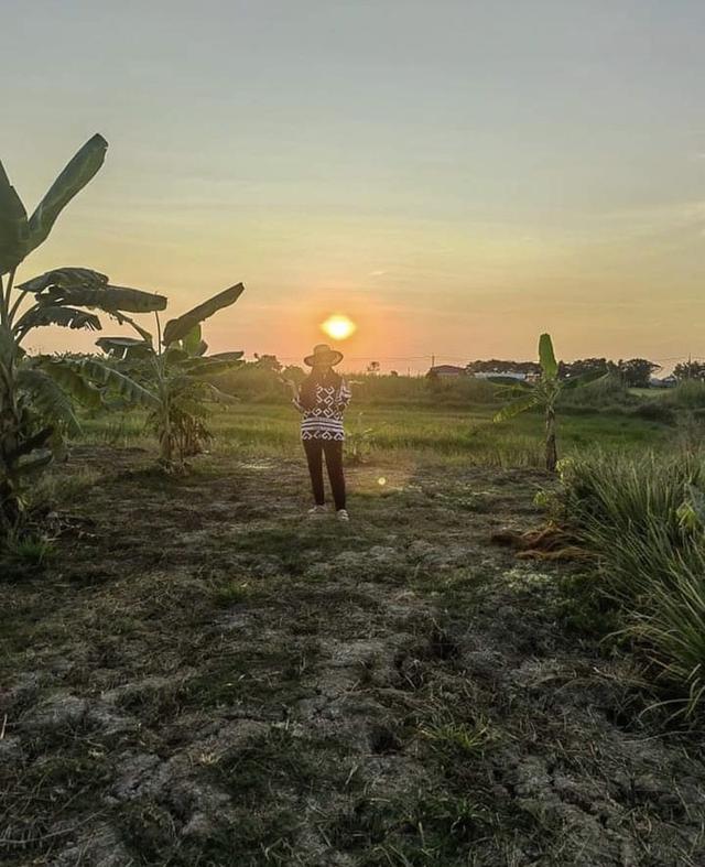 ที่ดินคลอง15นครนายกติดถนนสาธารณะเจ้าของขายเอง 1