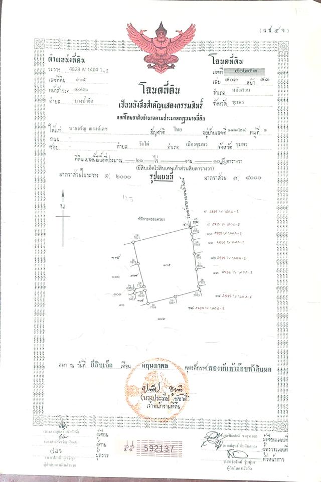 ที่ดิน สวนปาล์มน้ำมัน อ.หลังสวน จ.ชุมพร