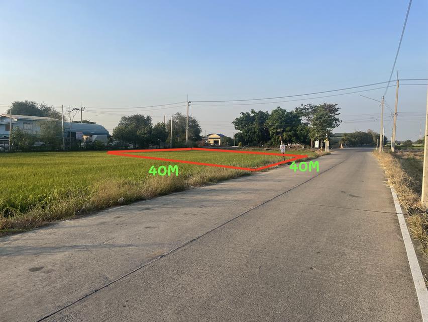 ที่ดินทำเลทอง ถนนราชพฤกษ์ 1ไร่ 5