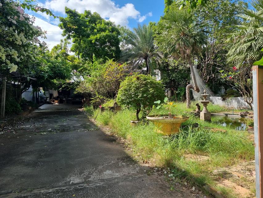 ที่ดิน ใจกลางเมืองขอนแก่น ถนนศรีจันทร์ บ้านศรีฐาน 4