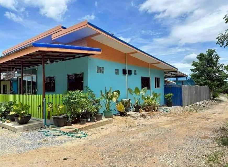 ขายตำบลคลองม่วงอำเภอปากช่องนครราชสีมา พื้นที่ 109-1-49 ไร่โฉนด 2