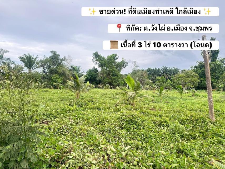 ✨ ขายด่วน! ที่ดินเมืองชุมพร 3 ไร่ 10 ตร.วา ทำเลดี ใกล้เมือง ติดถนน 3 ด้าน✨ 2