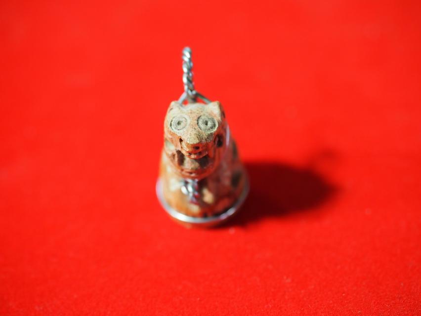 	เสือไม้แกะ หลวงตาแก่ 4