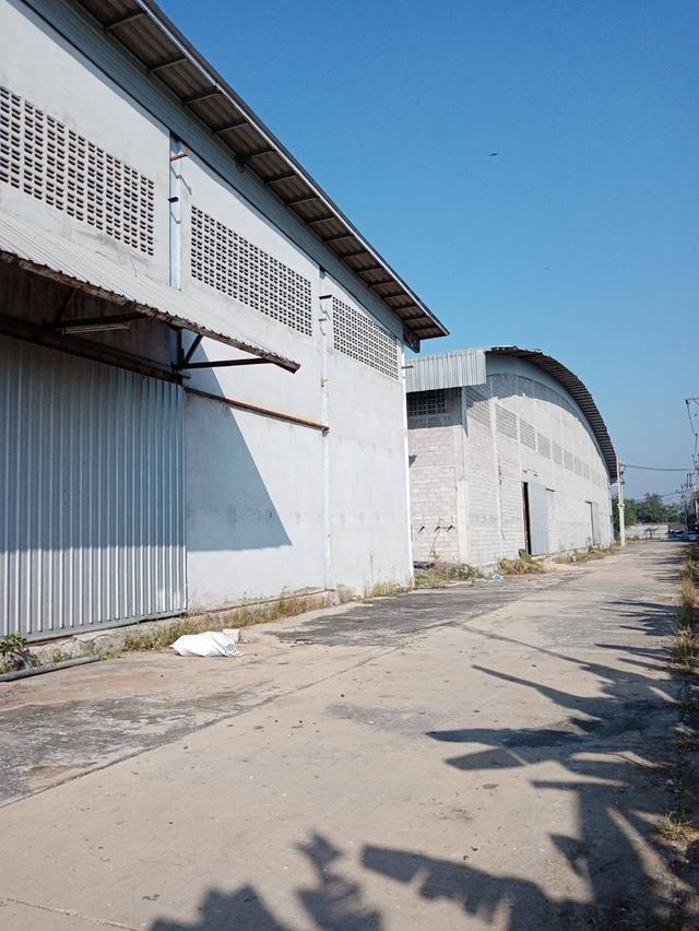 ขายด่วน โรงงาน 20 ไร่ อ.กระทุ่มแบน จ.สมุทรสาคร ราคาถูก ฮวงจุ้ยดี หันทิศดี 5