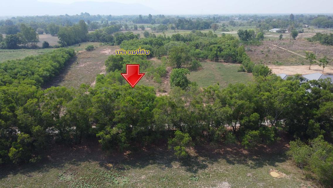 ที่ดินสวยหนองเรือขอนแก่น 6