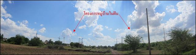 💙 ที่ดิน หนองกี่ ราคาพิเศษ! 💙 4