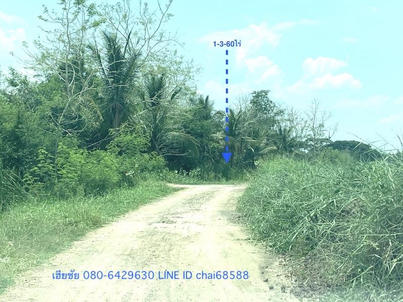 ขายที่ดินติดวัดบ้านฝ้าย หนองกระทุ่ม ใกล้ถนนบายพาส 204 เนื้อที่ 1-3-60ไร่ ห่างจากถนนบายพาส 204 ประมาณ 1 กม.ที่ดินเหมาะพัฒนาทำเป็นบ้านสวน 2
