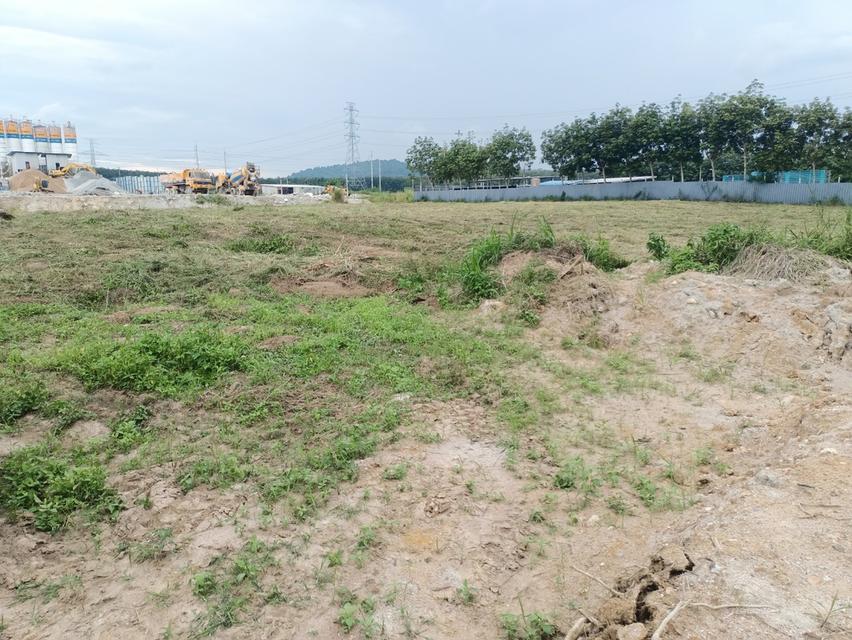 ให้เช่าที่ดินเปล่าระยะยาว 20