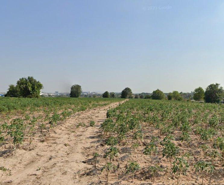 ขายที่ดินสีม่วงลายมาบยางพรติดคลอง 203 ไร่ ติดนิคมอมตะใกล้แยกนิคม(ถนนเส้น331)-6กม. อ.ปลวกแดง จ.ระยอง 2