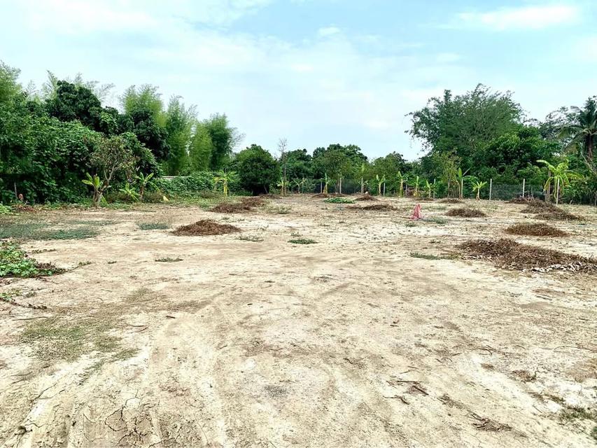 ขายที่ดินเปล่าใกล้ตัวเมืองเชียงใหม่เดินทางเพียง 30 นาที บ้านล่ามจันทร์ ต.น้ำแพร่ อ.หางดง จ.เชียงใหม่ ราคา 5,400,000 บาท 5
