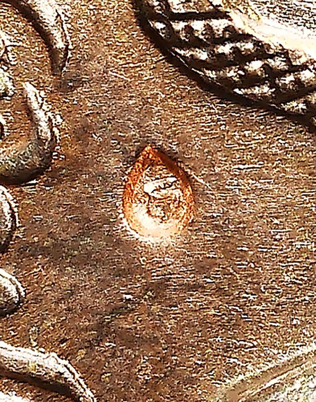 เหรียญ นาคปรก ไตรมาส 8 รอบ อุ ยาว เนื้อนวะ หลวงปู่ทิม วัดละหารไร่ ปี 2518...สวยเดิมๆ 2