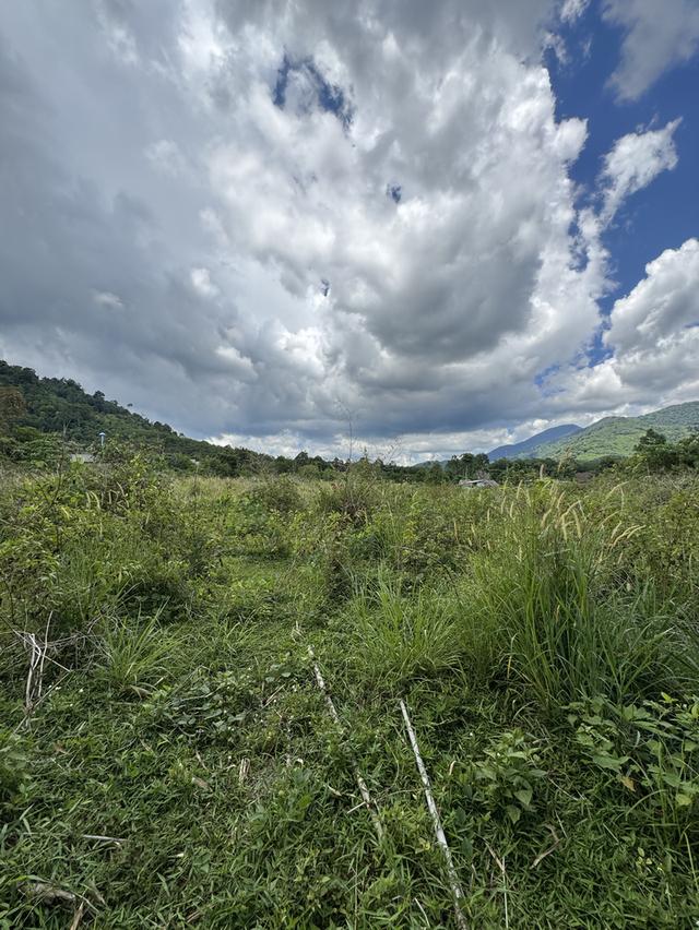 ที่ดินแถวอำเภอช้างกลาง จังหวัดนครศรีธรรมราช 8