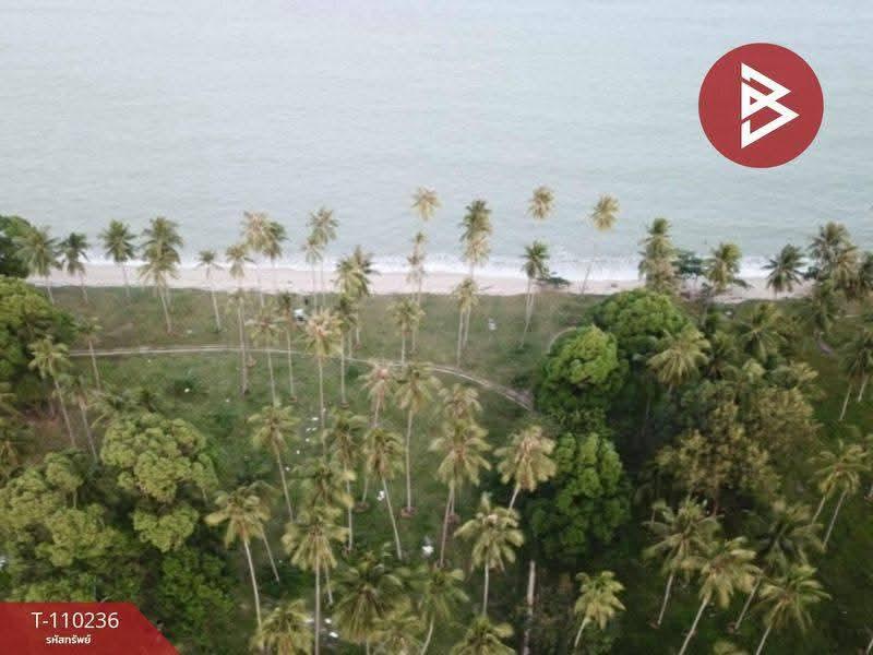 ขายที่ดินติดทะเล เนื้อที่ 45 ไร่ 3 งาน 21.0 ตารางวา ตำบลสระแก้ว ท่าศาลา นครศรีธรรมราช 8