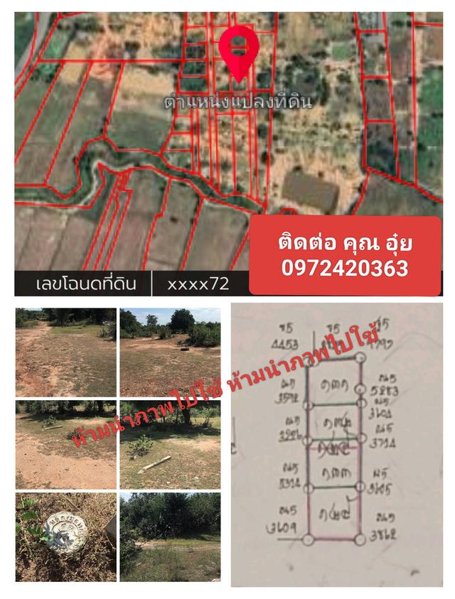 ที่ดินเปล่า 1 ไร่ อ.สีคิ้ว จ.นครราชสีมา 1