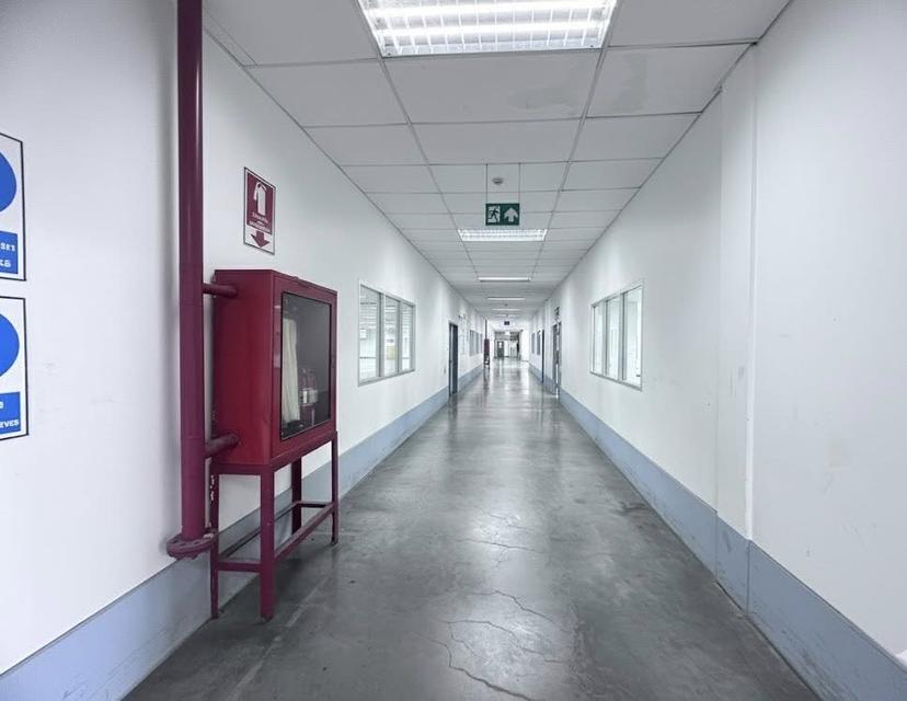 ขายโรงงานอุตสหกรรม ขายโรงงานอุตสหกรรม โรงงานผลิต/โกดังสินค้า พื้นที่สีม่วง ที่ตั้ง: นำไกร, ลาดกระบัง 17