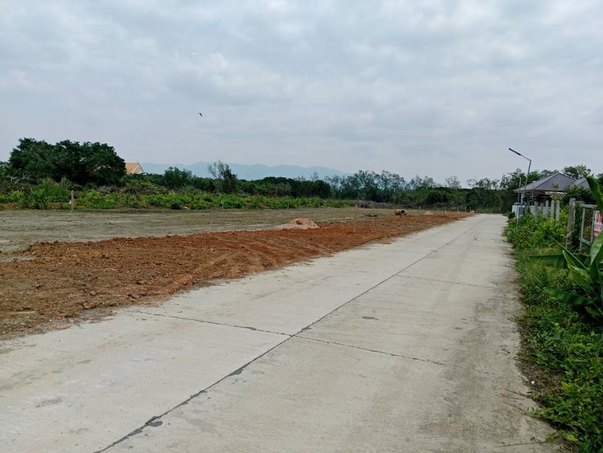 ขายที่ดินแบ่งแปลงขนาด78ตร.วา บางกะจะ จันทบุรี ถมแล้วทำเลดีเดินทางสะดวกอยู่ในเขตชุมชน สร้างบ้านได้เลย 2