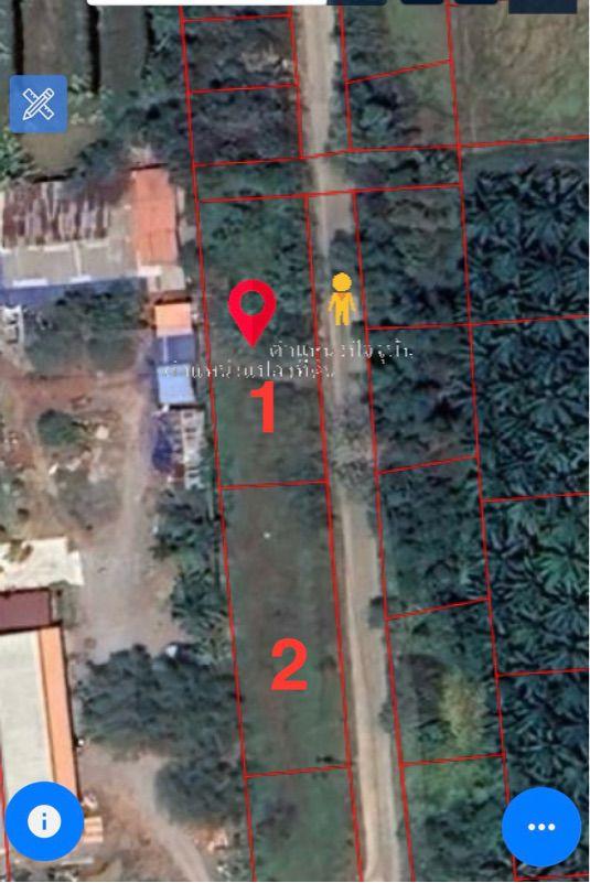 ขายที่ดินเปล่า ทำเลดี อำเภอกาญจนดิษฐ์ จังหวัดสุราษฎร์ธานี 4