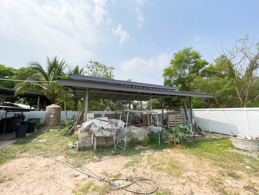 บ้านมือสองอุดรธานี บ้านข้าวสาร ต.โนนสูง เมืองอุดร(อุดร-ขอนแก่น) 15