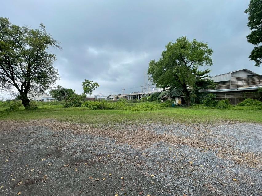 ที่ดินริมแม่น้ำท่าจีน 16-0-68 ไร่ สามพราน นครปฐม 6