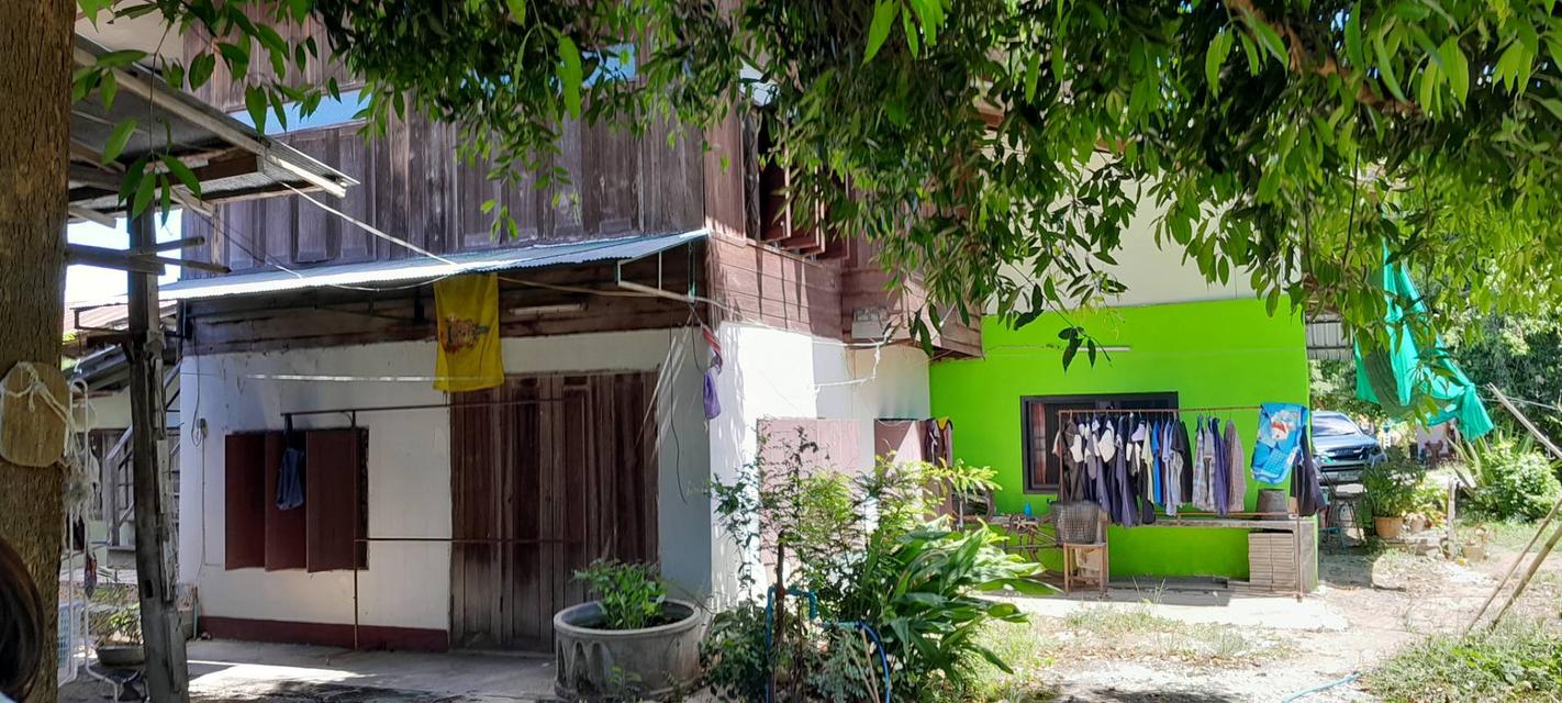 บ้านสองชั้น 3