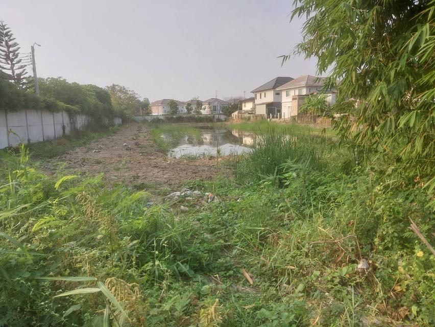 ที่ดินจังหวัดนนทบุรี ใกล้วัดเล่งเน่ยยี่ 2 4