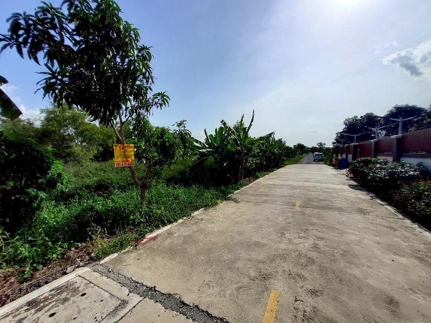 ที่พิน 5