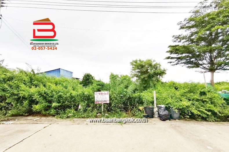 ที่ดินเปล่า โครงการพิเชฐพัชร เนื้อที่ 89.3 ตรว. ถนนกาญจนาภิเษก ต.คูบางหลวง อ.ลาดหลุมแก้ว จ.ปทุมธานี