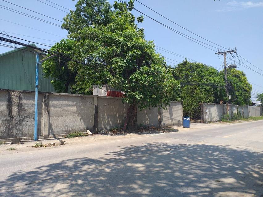 ขายที่ดินพร้อมสิ่งปลูกสร้าง 342 ตรว. ถ. กรุงเทพกรีฑา ซอย 37 แขวงทับช้าง เขตสะพานสูง กรุงเทพๆ 12