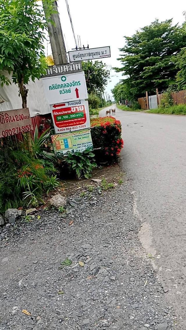 ที่ดินว่างเปล่า 9