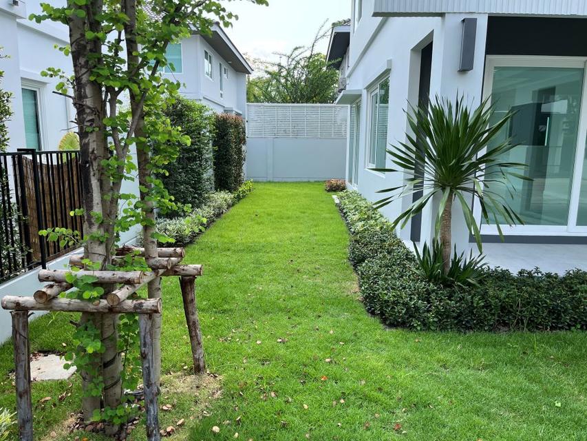 ขายบ้านเดี่ยว 2 ชั้น โครงการชัยพฤกษ์ ทางด่วนรามอินทรา-จตุโชติ 70 ตรว. พร้อมสวนรอบบ้าน ใกล้ทางด่วน จตุโชติ 4