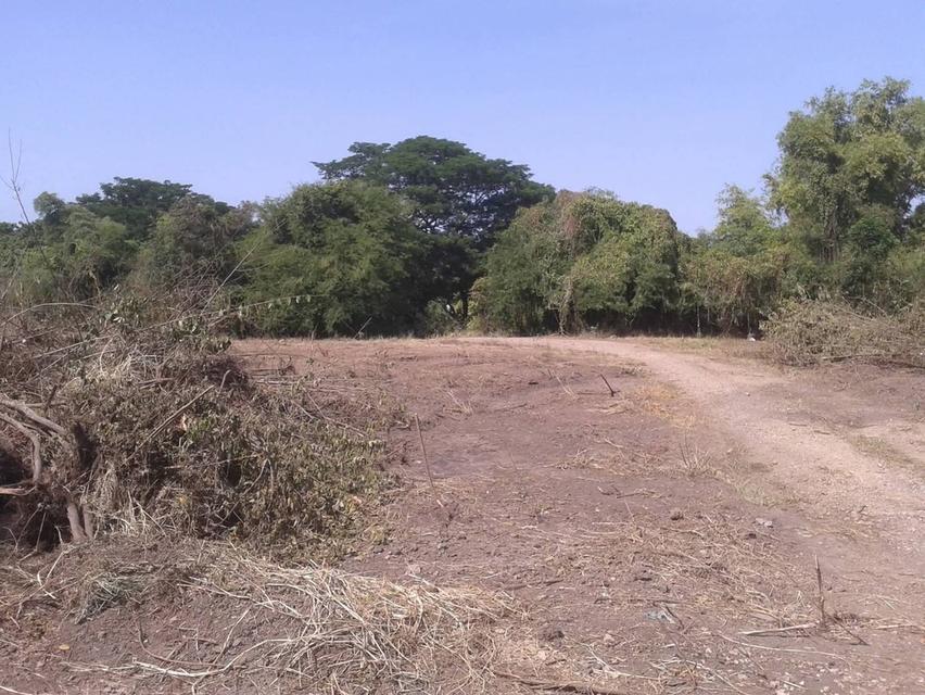 ที่ดินริมแม่น้ำป่าสัก จังหวัดสระบุรี 4