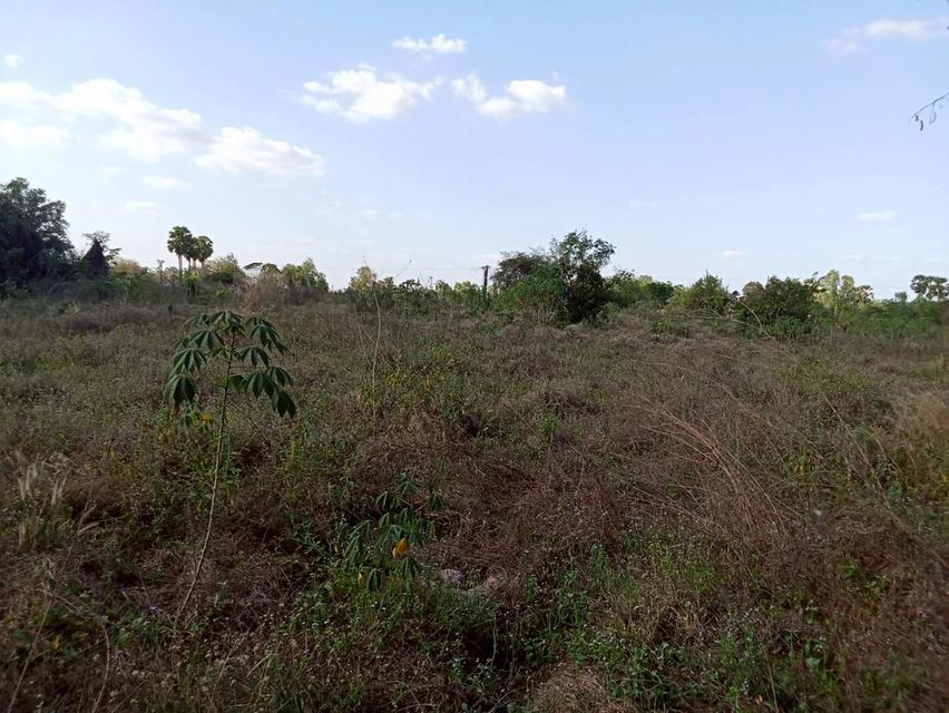 ขายที่ดินแปลงใหญ่ อำเภอทัพทัน จังหวัดอุทัยธานี ** ราคา 299 บาท/วา ** (N.2032) 7