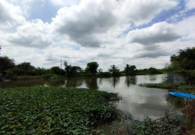 ขายที่ดิน หนองจอก ตรงข้ามบางกอกอารีน่า ติดถนนเชื่อมสัมพันธ์ เนื้อที่ 21-3-39 ไร่ 10