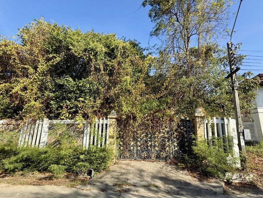 ขายบ้านเดี่ยว 2 ชั้น หมู่บ้านกรีนวัลเล่  อำเภอบางพลี  จังหวัดสมุทรปราการ 1