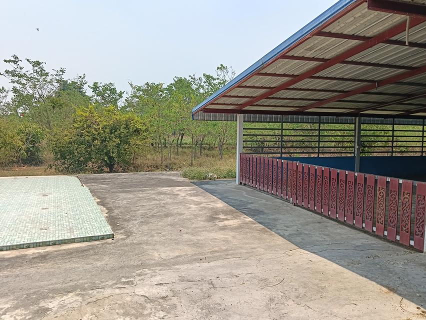 ขายด่วนบ้าน2หลังที่ดิน2ไร่เขตชุมชนติดถนนลาดยางน้ำไม่ท่วมไม่มีประวัติอยู่ไกล้ม. ราชมงคลสุวรรณภูมิสามชุกจ. สุพรรณขาย2. 55ล. สนใจ0894109810เจ้าของโดยตรง 15