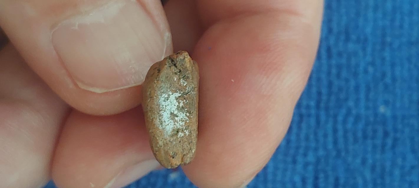 พระนางพญา พิมพ์เล็กเข่าตรง กรุวัดนางพญาพิษณุโลก รูปที่ 13