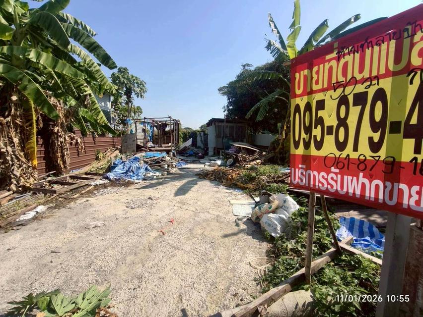 ขายด่วนที่ดินซอยวัดบางม่วง 50 ตรว ติดถนนสาธารณะ ถมแล้ว อ.บางใหญ่ จ.นนทบุรี 2