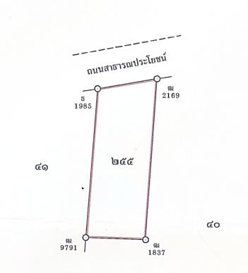 🏡 ขายที่ดิน หนองบอนแดง บ้านบึง ชลบุรี  📍 ทำเลดี ติดถนนสาธารณประโยชน์ 1