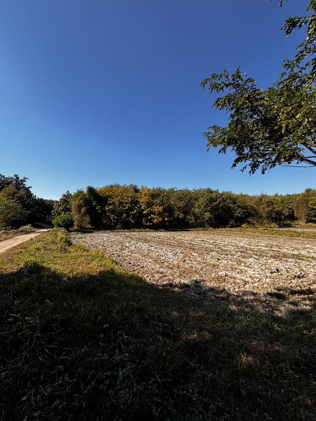 ปล่อยที่ดินเปล่าสวนเกษตร 4