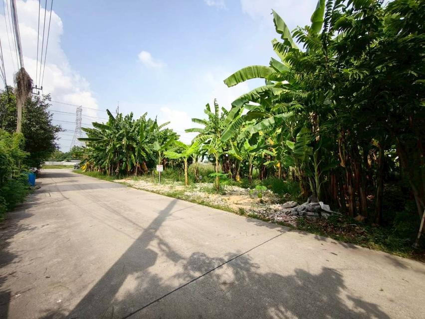 ที่ดินเปล่า เนื้อที่ 118 ตร.ว. ซอยนาวงประชาพัฒนา 9 ถนนนาวงประชาพัฒนา แขวงสีกัน เขตดอนเมือง กรุงเทพมหานคร 3