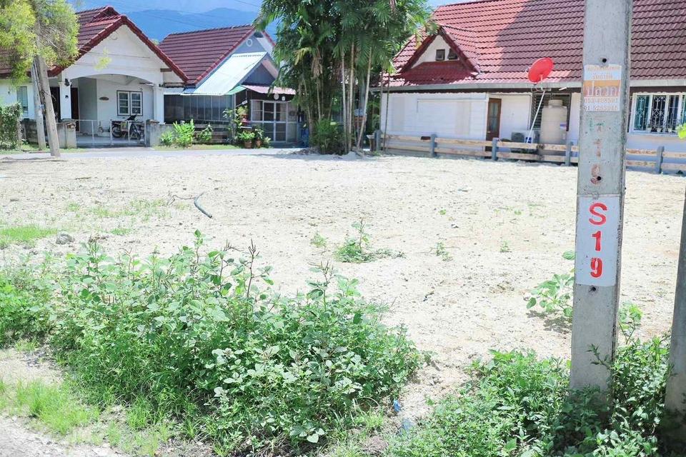 ที่ดินถมแล้ว 72 ตรว ดอนแก้ว แม่ริม เจ้าของขายเอง 1