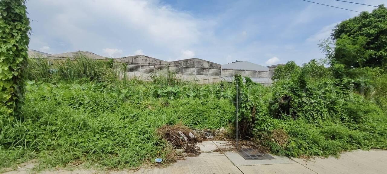 ให้เช่า ที่ดินเปล่า 60 ตร.วา ซอย บางปลา 14 บางพลี สมุทรปราการ 13