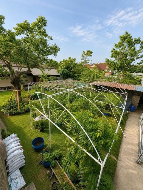 ขายบ้านเดี่ยวบ้านทรงไทย2 ชั้น โครงการ ปรีชา ศรีนครินทร์ Preecha Srinakarin 5